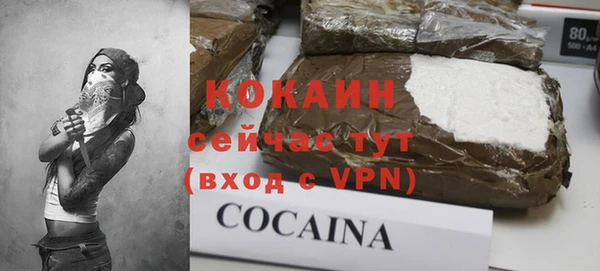 гидра Рославль