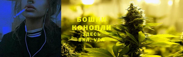 гидра Рославль