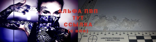 гидра Рославль