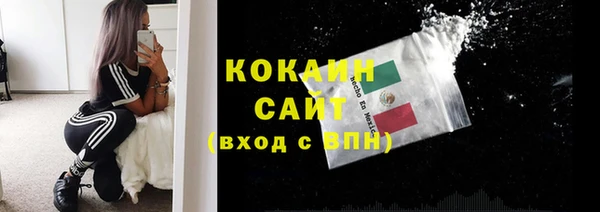 гидра Рославль