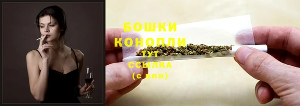 гидра Рославль