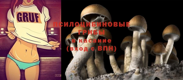apvp Северская