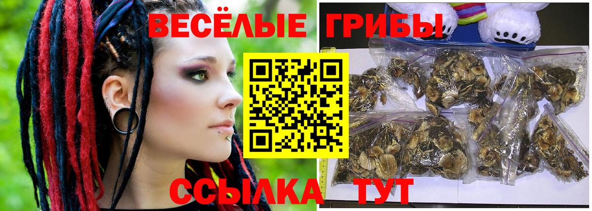 Псилоцибиновые грибы ЛСД  Вход с VPN  Аша 