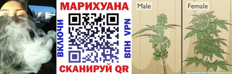 Каннабис планчик  дарнет шоп  shop какой сайт  Аша 