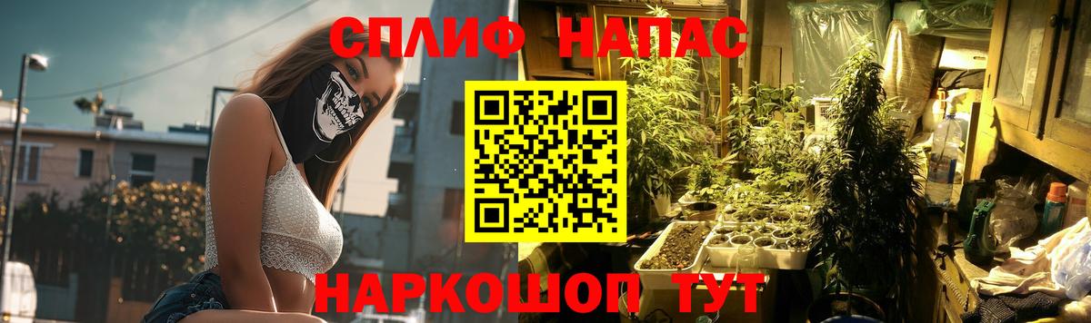 Канабис семена  Аша  Бошки Шишки семена 